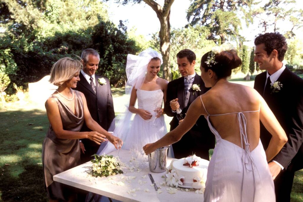 Bridal Party celebrating at a small outdoor reception